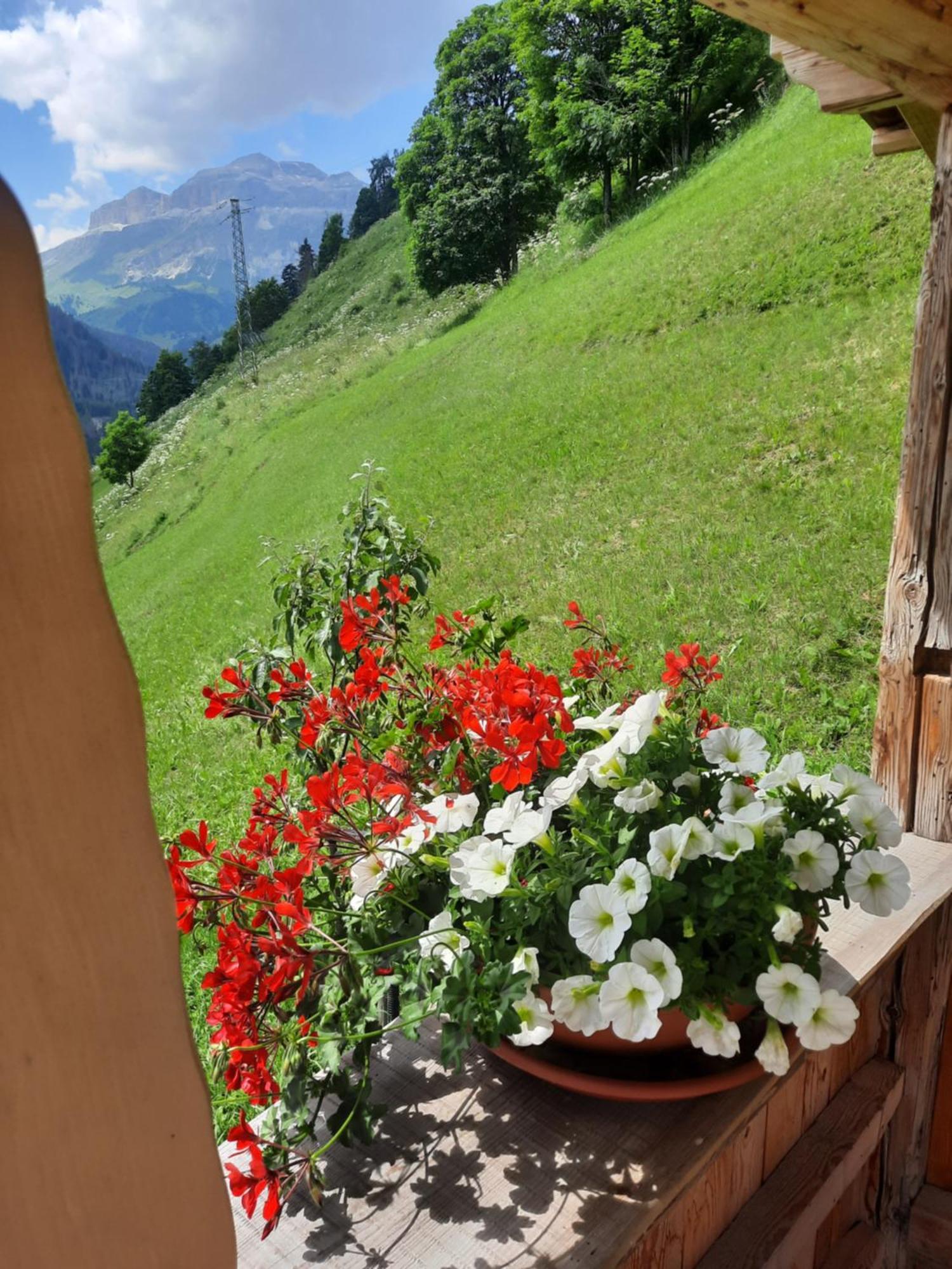 L' Aier - Arabba - Dolomiti *